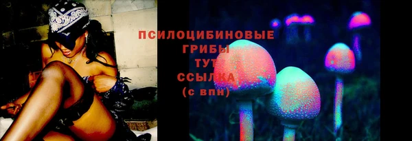 PSILOCYBIN Балабаново