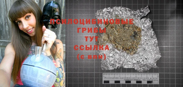 PSILOCYBIN Балабаново