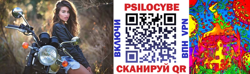Купить Видное Галлюциногенные грибы GOLDEN TEACHER